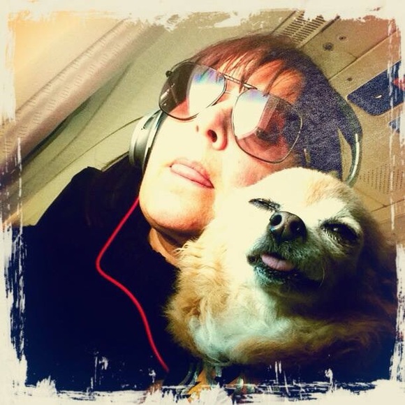 Meet your Posher, Starlene - Picture 3 of 8